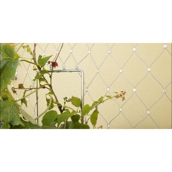 Inox X Tend Wire Rope Mesh For Garden Trellis Plants Climbing Netting