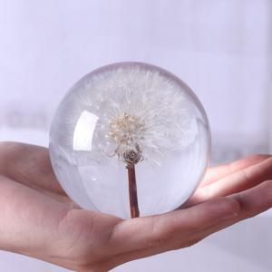 Quality Real dandelion in Clear resin ball flower resin ball ornament for sale