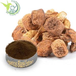 China Pure Natural Agaricus Blazei Murill Mushroom Extract 10% 20% 30% 40% Polysaccharides on sale
