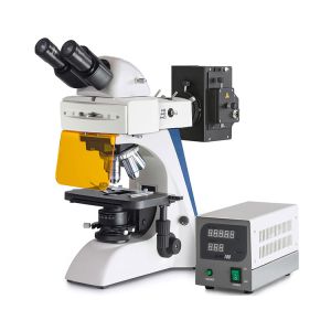 Laboratory Fluorescence Life Science Microscope / Binocular Biological