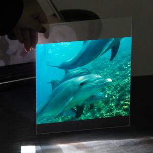 China Transparent 3D Holographic Projection Film Rear Window Hologram Projection Film on sale
