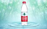Bottle Mineral Water Beverage Production Line , Beverage Production Equipment