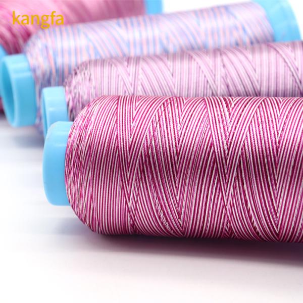 Silk 120d/2 4000y Embroidery Thread for Long-Lasting and Beautiful Embroidery Designs