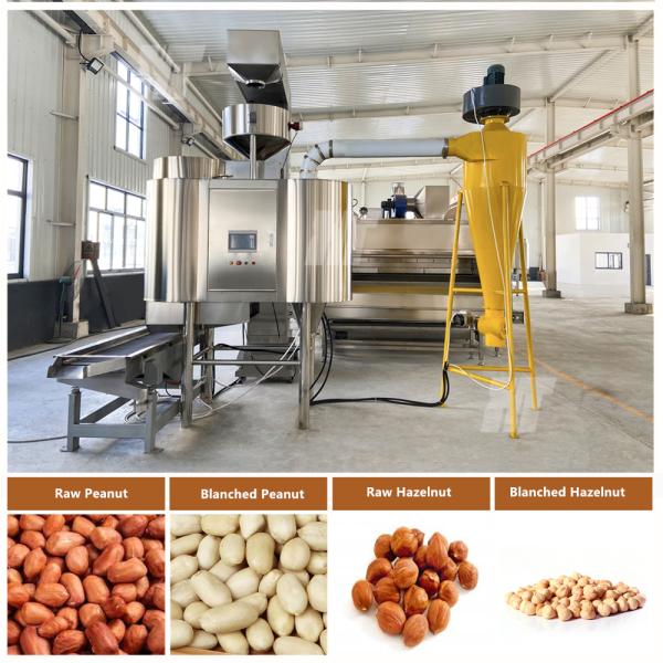 New Way Blanched Peanut Processing Line Peanut Blanching Machine By Air 1000kg/h