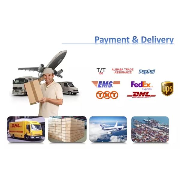 Original Somatosensory Portable Handheld Game Console Free Games Switch Used for Nitendo Switch OLED