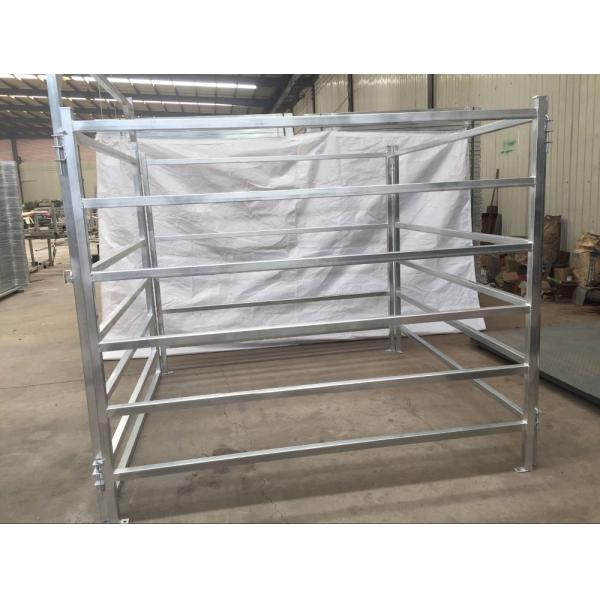 Galvanized cattle panel