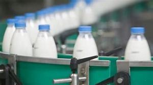 China Milk And Milk Podwer Making Dairy Production Line 500 L/hour on sale