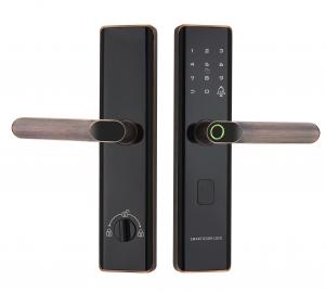 China Euro Intelligent Door Lock Tuya Biometric Fingerprint Lock Black on sale