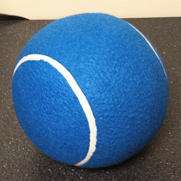 inflatable jumbo fun ball