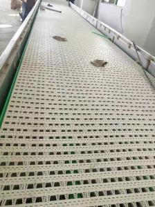Quality                  Chinese Food PVC Material Belt Conveyor for Cheap Price              for sale