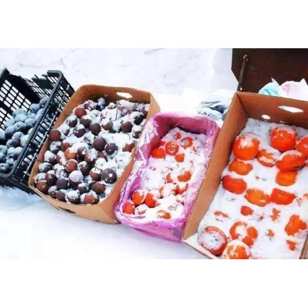 IQF Quick Freezing Refrigeration Food Freezing Machine