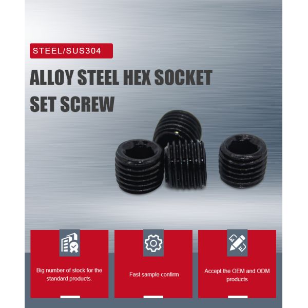 DIN Standard M2 M3 M4 M6 M8 M10 Steel Set Screw with Black Oxide Finish and Hexagon Socket