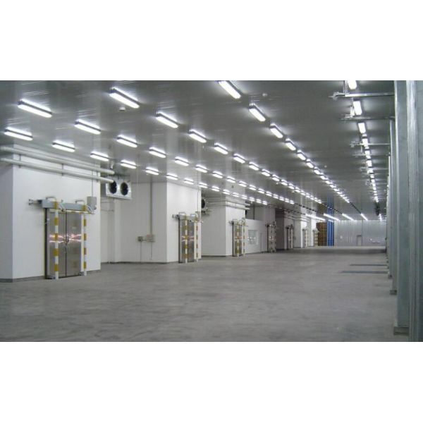 Fast Installation Large Span Steel Structure Warehouse For Industrial