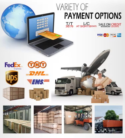 Automatic Vacuum Displacement Vertical Modified Atmosphere Sealer Plastic Customized Tray DQ400L-V High Quality Tray Sealer