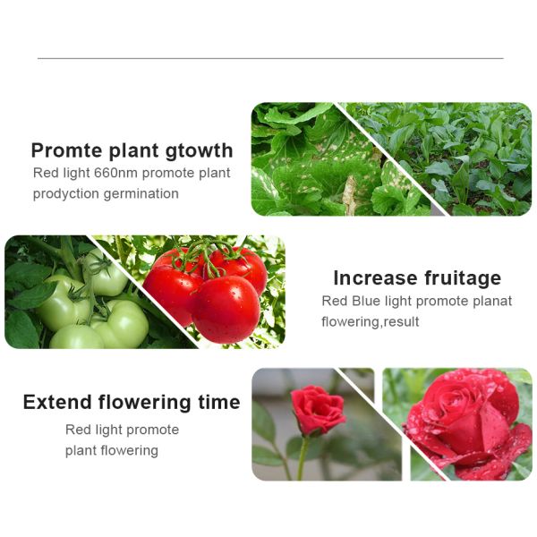 High Intensity Professional LED Light , Full Spectrum Led Grow Light