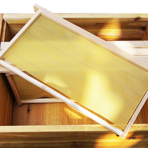 Cedar Wood Bee Hive Foundation Frames For Apiary Honey Farming OEM