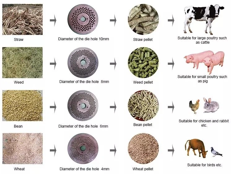 Finished Product Display