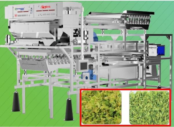 Buy 2.0T/H Vegetable Sorting Machine Precise Target Positioning 5400 pixel For Cabbage at wholesale prices