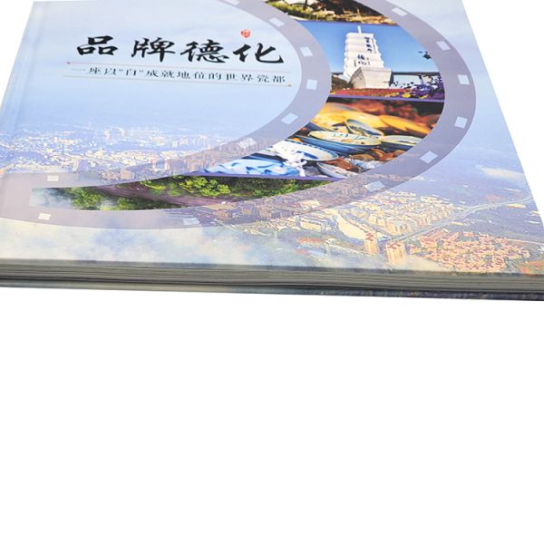 OEM Flexographic Instruction Booklet Printing Film Lamination