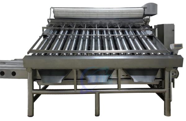 Buy Practical Roller Fish Grader Machine , Multi Function Shrimp Sorter at wholesale prices