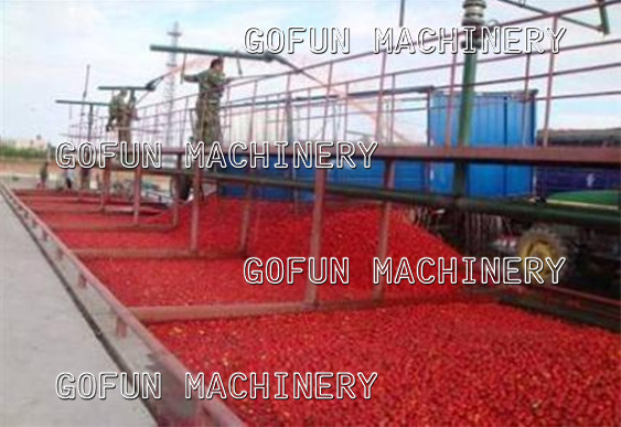Aseptic Bag Tomato Paste Production Line 1500T/D PLC Control
