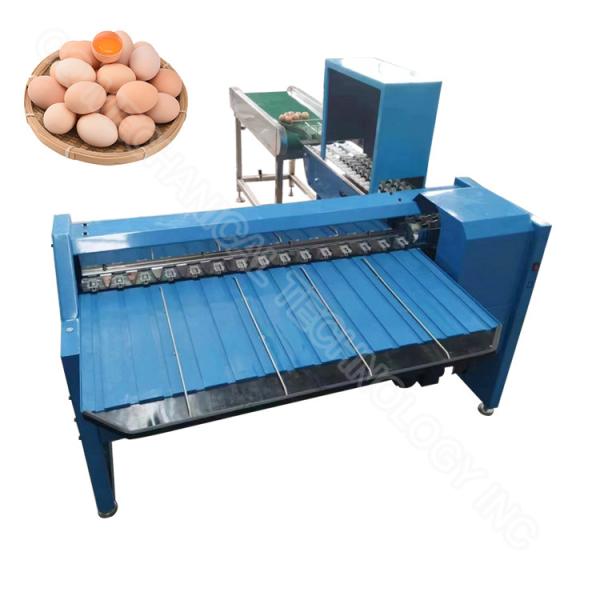 Buy Automatic Egg Sorter Egg Sorting Grading Machine Portable Egg Sorting Machine at wholesale prices