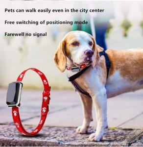 Quality Beidou Positioning Intelligent 45X45mm PET Training Collars Gps Tracking Collar For Dogs for sale