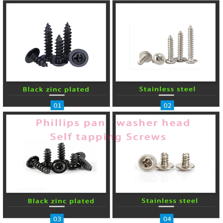 DIN Standard Phillips Pan Head Pozi Drive Type AB Thread Self-Tapping Screws for Sal