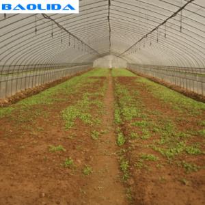 China Automatic System Plants Growing Farming Rigger Greenhouse Drip Irrigation System on sale
