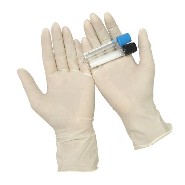 Latex Examination Gloves/Disposable Latex Gloves Medical Consumables