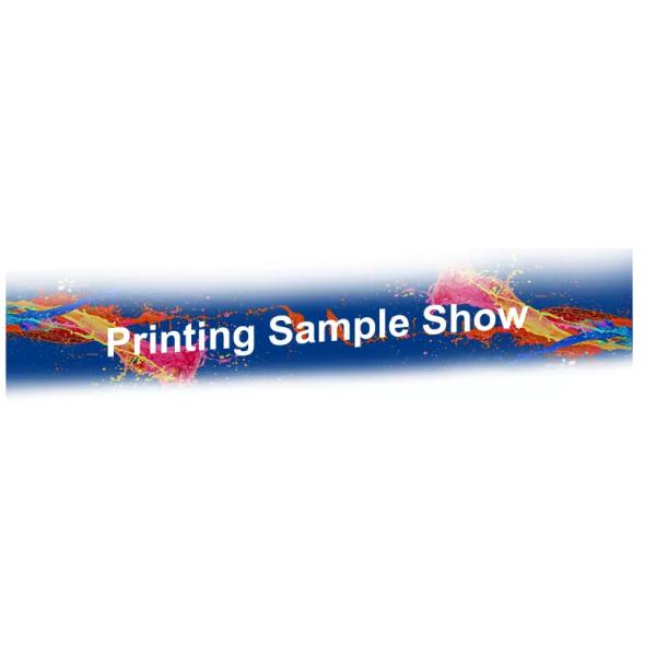 Direct Print Digital Garment Printer , Tee Shirt Printing Machine With 8 Ricoh GH2220 Printheads
