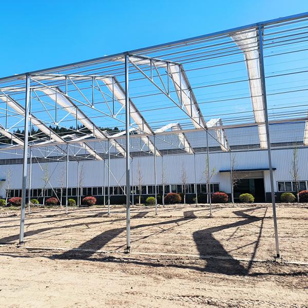 Hot Galvanized Steel Structure Tomato Plastic Film Retractable Roof Agricultural Poly Tunnel Greenhouse
