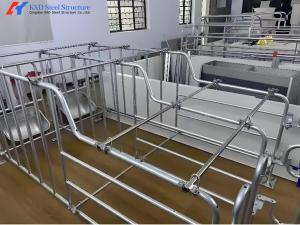 Quality Galvanized Pig Farrowing Crates Piggery Equipment Sow Farrowing Bed for sale