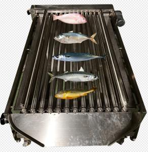 Quality High Quality PLC Control Fish Grading Line For Sorting Small Fish With Automatic for sale