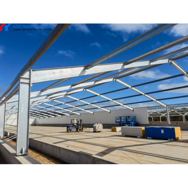 OEM ODM Broiler Poultry Equipment Customized Broiler Pan Feeder