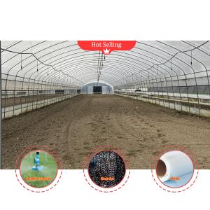 Mushroom Growing Blackout Greenhouse With Customized Design And High Snow Load