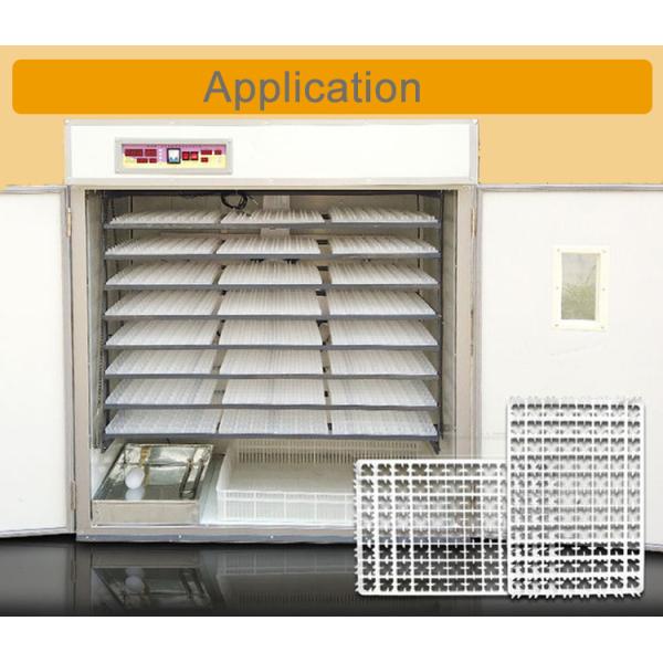 63pcs duck hatching tray incubator egg tray