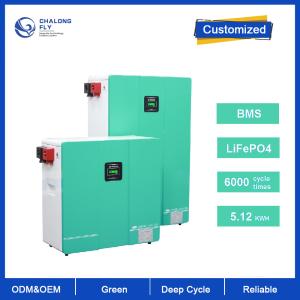 Customized Lithium Ion Battery Pack LifePo4 24V 48V 200Ah Powerwall battery For