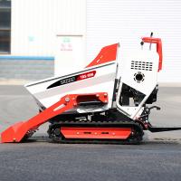 China 15 Tons Tracked Mini Dumper for sale