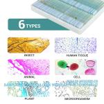 Microscope Slides With Specimens For Kids, Prepared Microscope Slides Plants