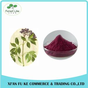 Quality 100% Natural Elderberry Extract Powder 10:1 20:1 for sale