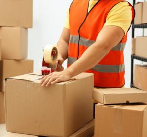 Quality Fast Speed Distribution And Warehousing Management Trust Seal Shipping Sourcing for sale