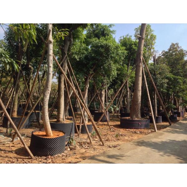 Root Control Pruning Container Plant Pot