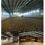 China Customizable Steel Framed Agricultural Buildings Horse Shed  Anti Seismic for sale
