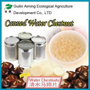 Quality Canned fruits fresh  water chestnut slices factory supply for sale