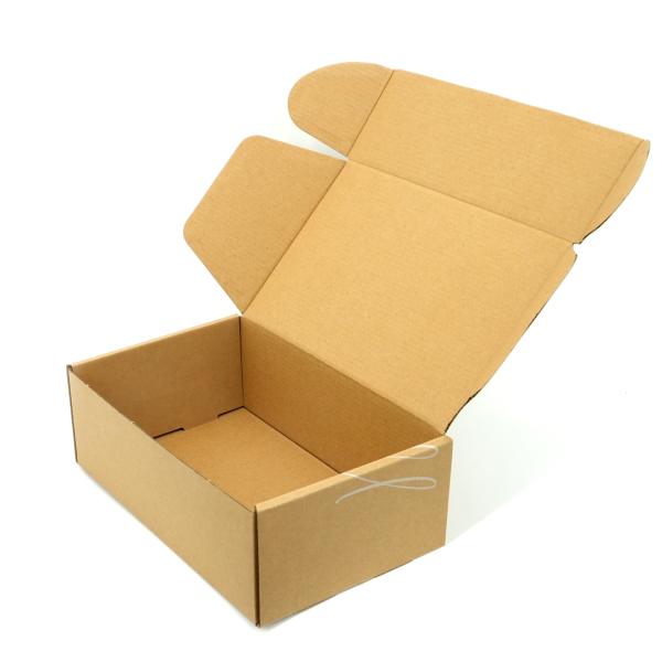 Small Cardboard Corrugated Folding Garment Packaging Box ISO 9001 / 14001 Certified