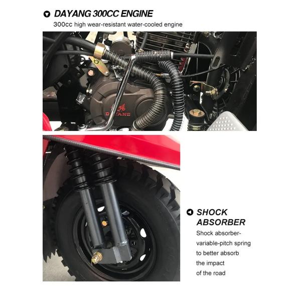 Cargo Box Size 2.4*1.35m Gas Cargo Trike Tuk Tuk Trimoto with Powerful Displacement