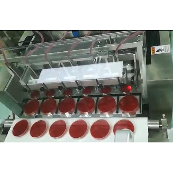 Automatic Petri Dish Filling Machine 4000BPH with Nozzle Heating System