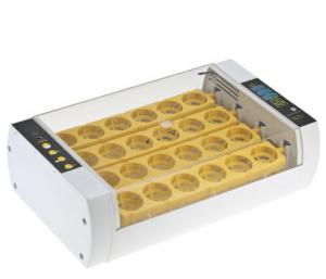 China Yellow 50Hz Fully Automatic Digital Egg Incubator , Egg Incubator Machine on sale
