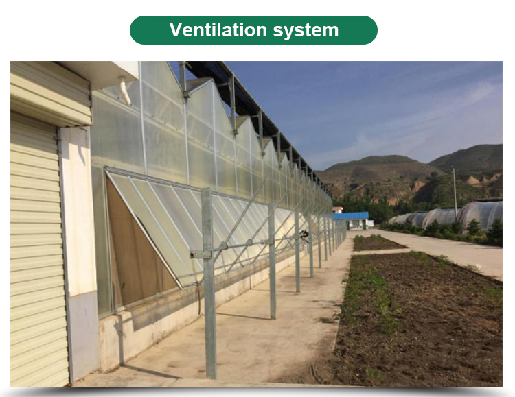 4m Section Polycarbonate Greenhouse for Vegetable Fruits and Flowers Commercial Grade